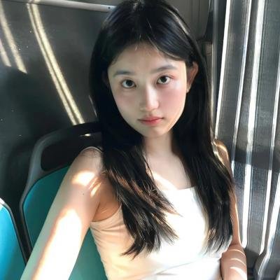 鸽之翼