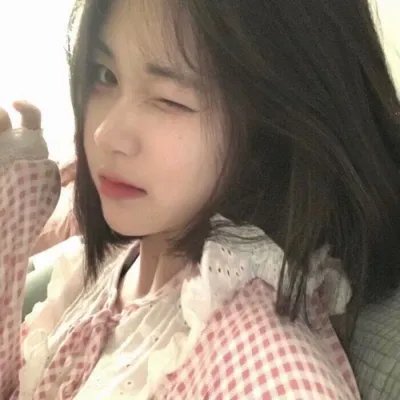 粉红色火烈鸟